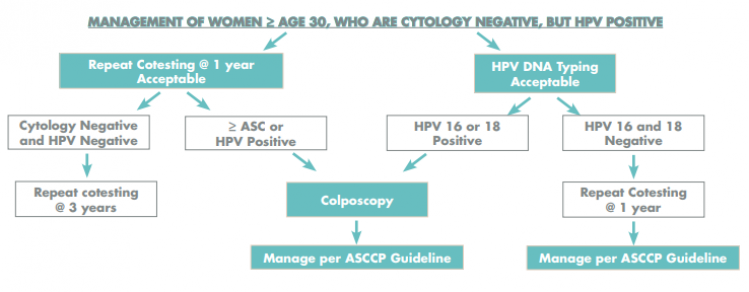 HPVflowchart